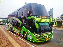 VIP BUS