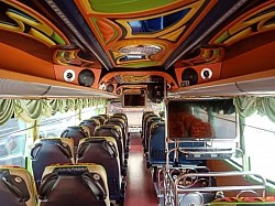 VIP BUS